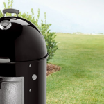 Weber Smokey Mountain Cooker